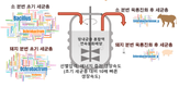 미생물을 활용한 철분 공급용 사료소재 개발