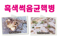 흑색썩음균핵병, 토양병해로 집단으로 발생해 큰 피해