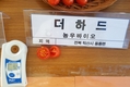 2021년 농우바이오 신품종, ‘더하드’ 토마토