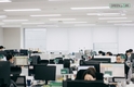 농업 플랫폼 '팜모닝' 운영사 그린랩스, 150여명 전직군 채용