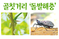 골칫거리 ‘돌발해충’ 선제적 방제로 피해 최소화