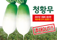 2021년 생산한 햇종자 공급으로 추대에 강한 ‘청황무’