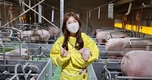 국내외 50만두 모돈 시장 선점 목표로 공략한다!