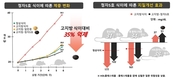 우리 검정콩(‘청자5호’) 비만과 대사증후군 예방 효능 뛰어나