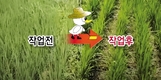 3축형 수직전단 제초기 안전커버 ‘논밭다매’