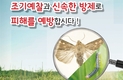 올해 비래해충 유입 시기 빠르고 발생 증가 예상