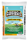 고품질 콩, 수확량 늘리기 위한 비결!
