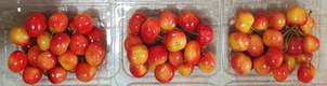 새콤달콤 ‘국산 체리’ 더 신선하게 맛본다