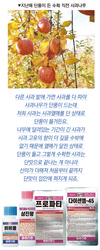 단풍든 사과나무가 바로  맛있는 사과재배의 비결