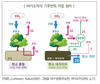 탄소중립과 바이오차의 새로운 발견