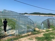 농촌진흥청, 고정식 수박 온실 모델 9종 개발