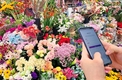 화훼류 온라인 매매실적 쑥쑥! 41억원 돌파