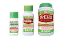 시설원예의 계절, 총채벌레‧진딧물 등 시설해충 급증