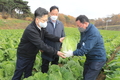 김현수 농식품부 장관, 충남 당진 가을배추 밭 현장 점검