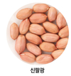 2021년 대한민국우수품종상 권농종묘 선풍골드(상추) 대통령상 수상