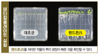 뿌리 속부터 꽉 찬 영양분, 상품성 책임진다!