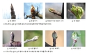 개화 전 약제방제, 과수화상병 예방 위한 ‘두 번째 기회’