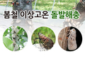 봄철 이상고온으로 돌발해충 발생 증가우려