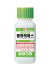 아주 작은 벌레지만 과수·채소 무차별 공격으로 큰 피해주는 “진딧물”