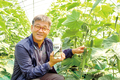 30년 연작 오이시설재배 문제는 ‘연작장애’