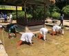 도심 속 전통 손 모내기 개최