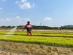 신젠타코리아, 혁신적인 ‘그로모어’ 농법 충북 지역에서 빠르게 확산