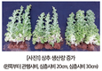 국립농업과학원 기후변화평가과 심층시비기술 개발