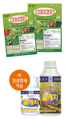 여름철 폭염대비 ‘응애’ 단속 철저히