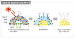 팜한농, 국내최초 햇·빛에 분해되는 친환경 비료 개발