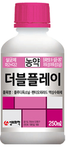 가장 흔하고 눈에 잘띄는 ‘흰가루병’