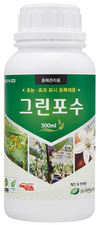 ‘총채벌레’의 밀도가 폭발적으로 증가하는 고온기