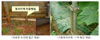 태풍 대비 비닐온실(하우스) 등 농업시설 철저하게 살펴야