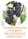 체계적 영양공급 통한 고품질 포도 생산