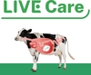 '라이브케어'(LiveCare) 해외시장에서 대박 터트리다