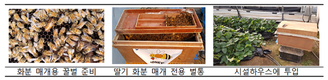 농촌진흥청, 겨울철 딸기‧수박 화분 매개용 벌 준비 당부