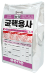 마늘, 양파농가 괴롭히는 ‘흑색썩음균핵병’