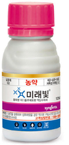 마늘, 양파농가 괴롭히는 ‘흑색썩음균핵병’