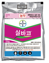 마늘, 양파농가 괴롭히는 ‘흑색썩음균핵병’