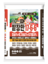 고품질 마늘, 양파 초기 생육 관리가 결과 좌우해