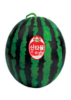 농우바이오 10월 추천품종