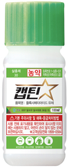 햇빛은 싫어하고 수분이 많은 곳 좋아하는 ‘작은뿌리파리’