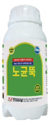 지속적으로 발생하고 확산이 쉬운 ‘노균병’