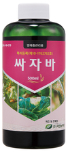 지속적으로 발생하고 확산이 쉬운 ‘노균병’