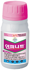 지속적으로 발생하고 확산이 쉬운 ‘노균병’