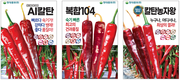 현대종묘㈜, 고추 육종 비전 설명회 개최