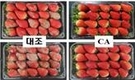 신선 농산물 선박 수출, 특수 저장고로 날개 달다