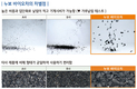 기술 기반 농업전문기업 ‘누보’