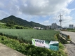 맛으로 소비자가 먼저 찾는 ‘까메오플러스&백두장군’