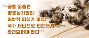 꿀벌 실종은 천재지변이 아닌 인재!!