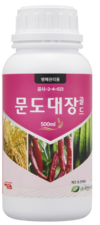 성급하게 다가오는 봄, ‘흰가루병’ 주의